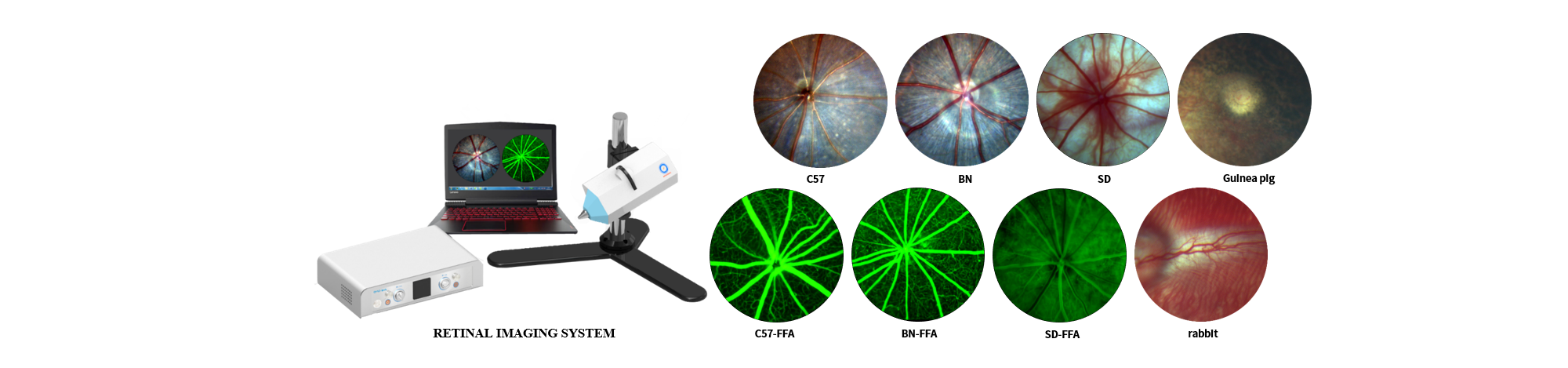 RETINAL IMAGING SYSTEM