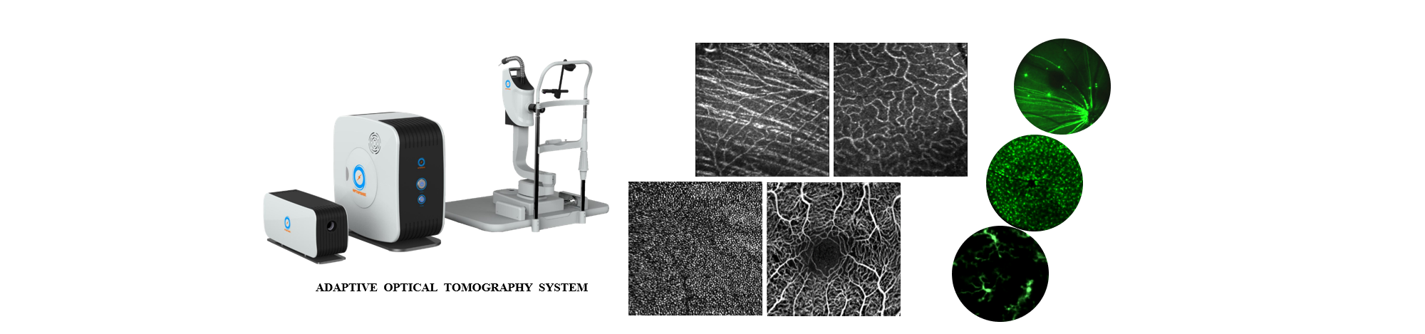 ADAPTIVE  OPTICAL  TOMOGRAPHY  SYSTEM